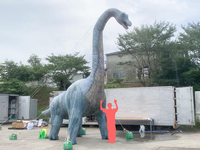 ブラキオサウルスミストバルーン 人物との比較