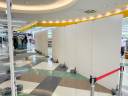 ev-kakizome-exhibition-2024-05